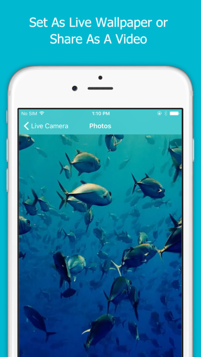 Live Camera-Take Live Photos on any device screenshot 3