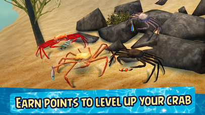 Sea Crab Simulator 3D screenshot 4