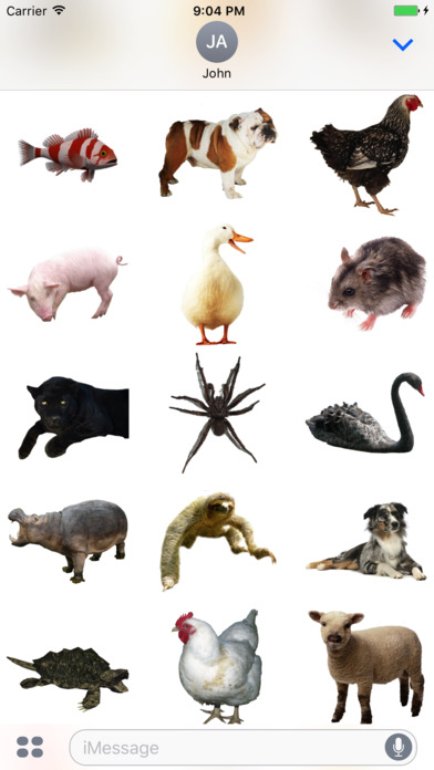 Fun Animals Stickers screenshot 2