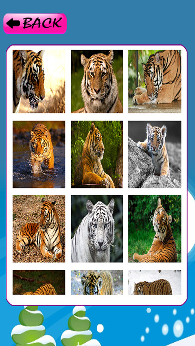 Animal Jigsaw Puzzle Tiger Games Education screenshot 2