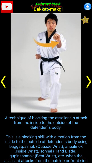Taekwondo Pro screenshot 4