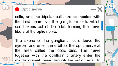 Neuro AN screenshot 2