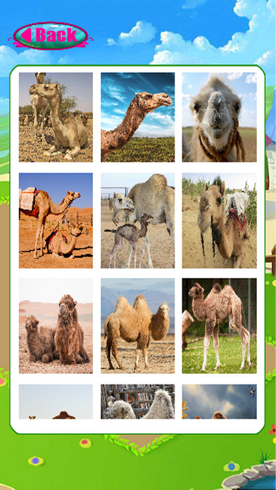 Puzzles Learn Games Camel Animal Jigsaw Version screenshot 2