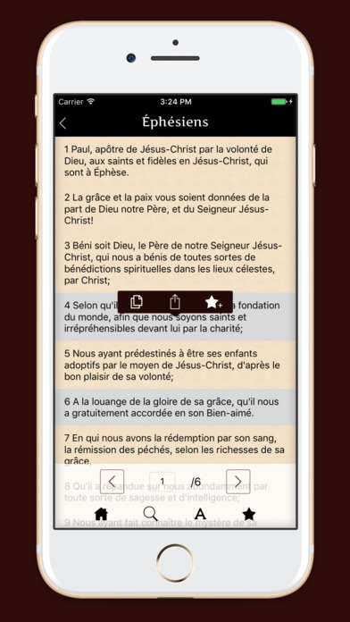 La Sainte Bible - français screenshot 3