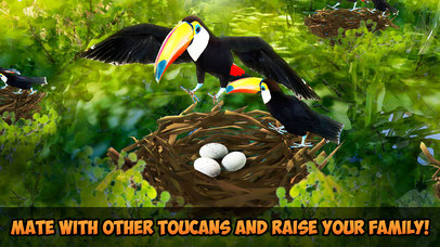 Toucan Simulator 3D: Bird Life screenshot 3