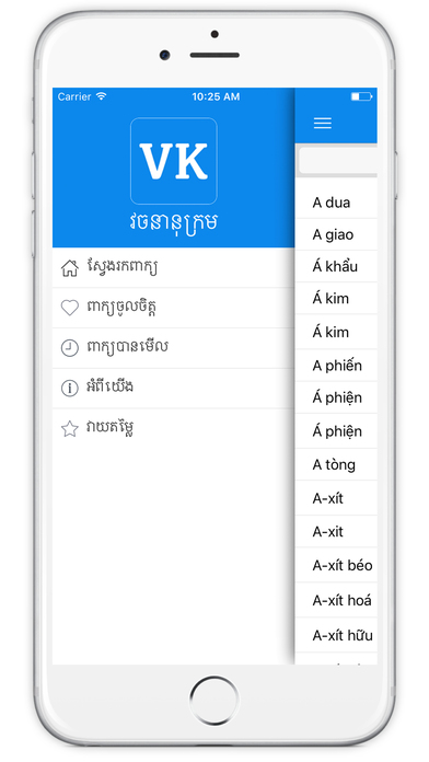 VK Dictionary screenshot 2