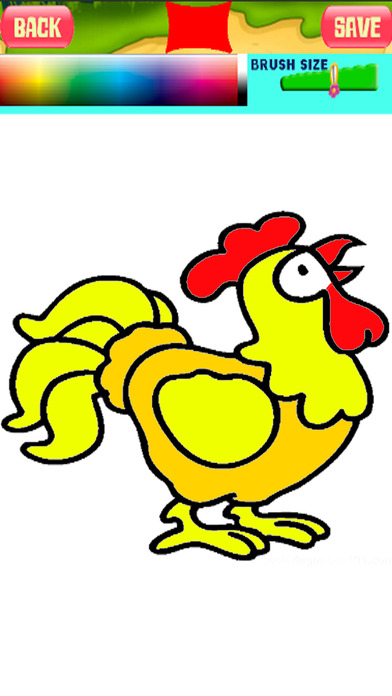 Chicken Cartoon Coloring Book Education screenshot 2