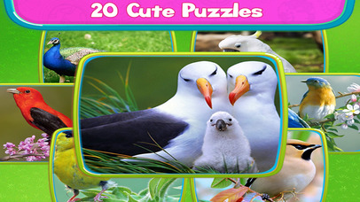 Love Bird Jigsaw Puzzle paradise : Train The Brain screenshot 4