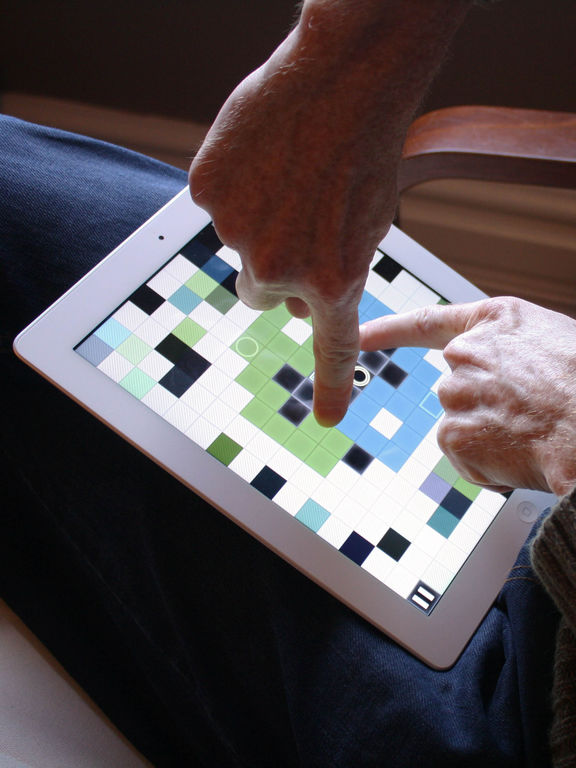 iPad Screenshot 3