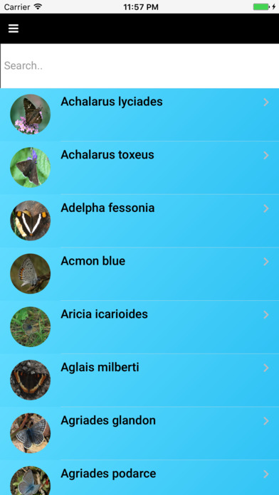Butterfly Species of North America screenshot 3
