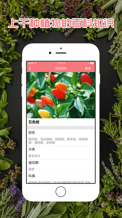 植物生活 screenshot 3