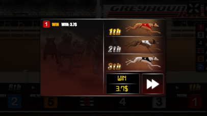 Greyhound Racing Adventure screenshot 4