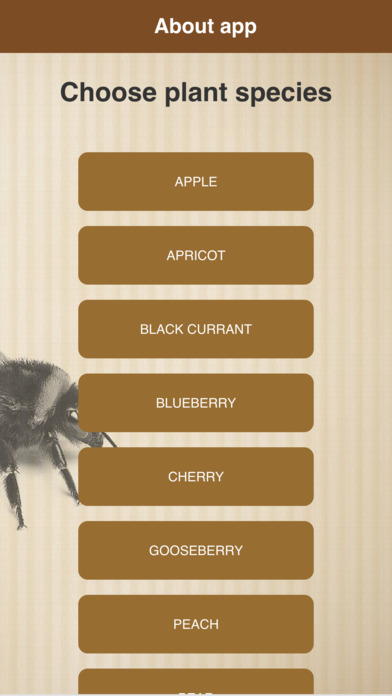 Bee Calculator screenshot 2