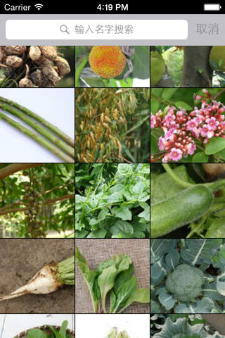 水果蔬菜农作物-你能认识几个? screenshot 2