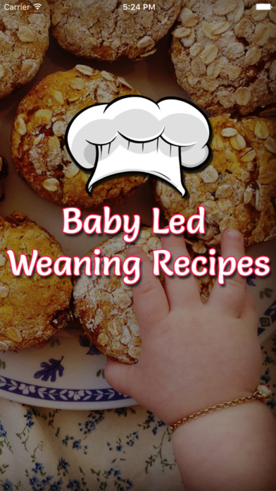 Baby Led Weaning Recipe screenshot 2