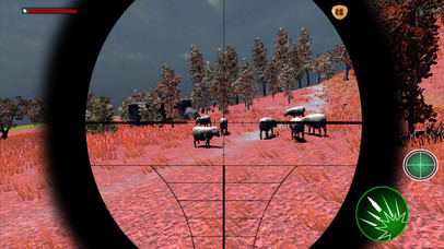 Wild Animal Sniper Hunter 3D screenshot 2