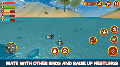 Pelican Simulator 3D: Bird Life screenshot 2