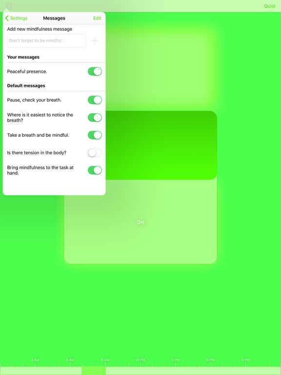 iPad Screenshot 3