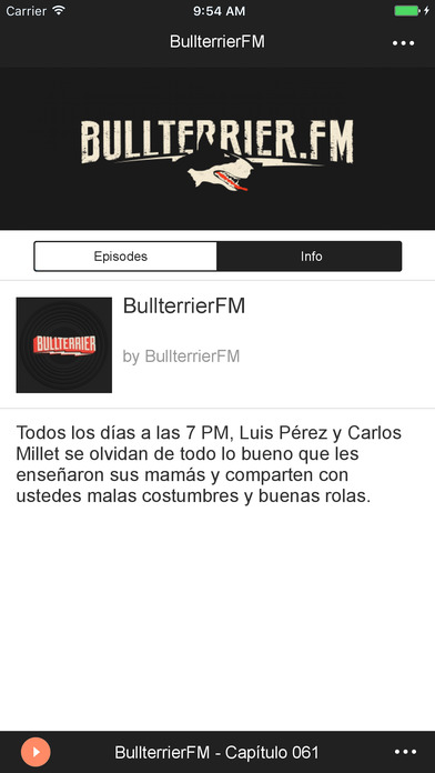 BullterrierFM screenshot 2