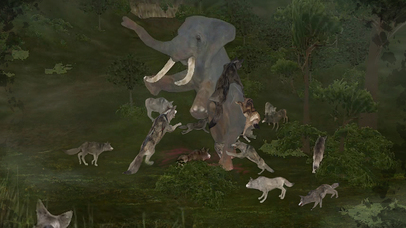 Wild Animals Online(WAO) screenshot 2
