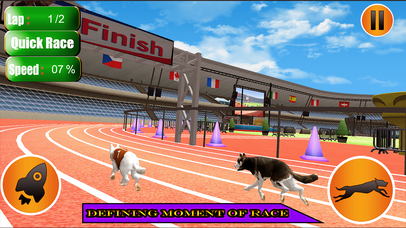 Dog Racing Simulator Game 2017 screenshot 3