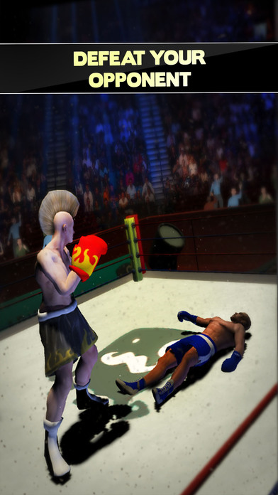 Boxer Games 2017 screenshot 2