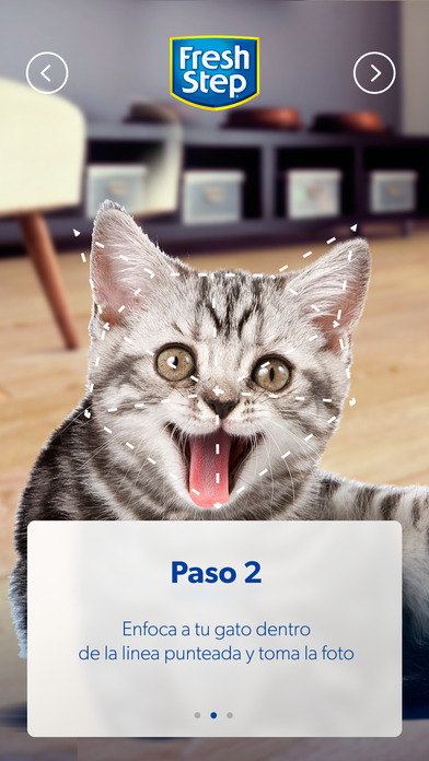 Catslator by Fresh Step screenshot 3
