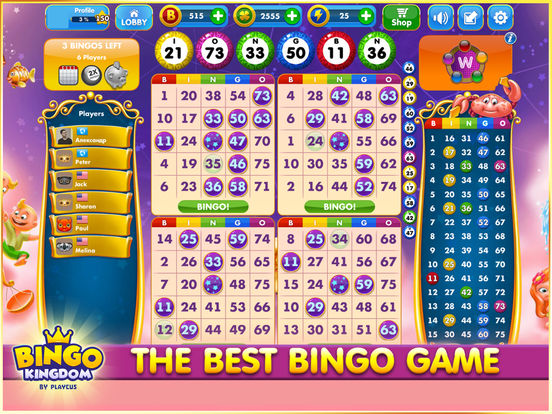 Bingo Kingdom™ на iPad
