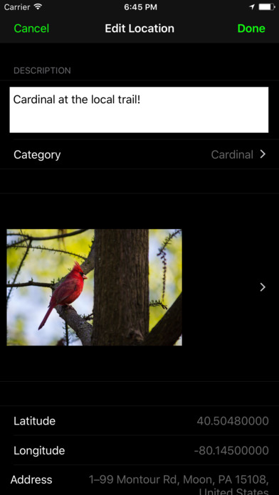 Bird Spotter screenshot 3