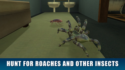 House Spider Survival Simulator 3D screenshot 2