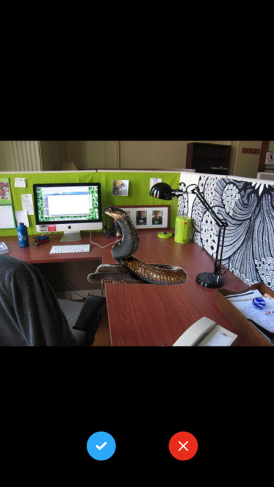 Snake on Screen Prank screenshot 4