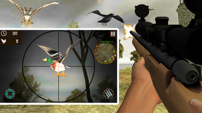 Island Bird Hunting: Shooter Survival screenshot 3