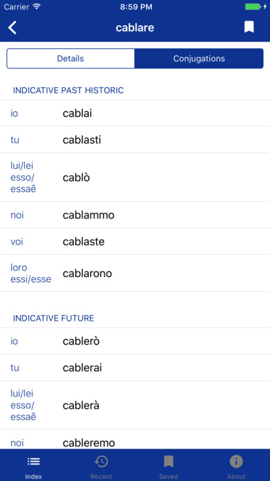 Italian Verbs Dictionary screenshot 4