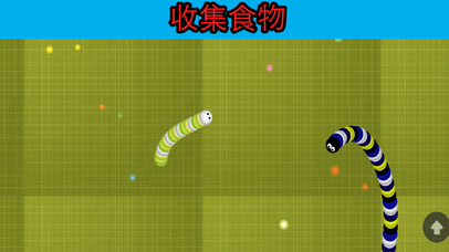 蛇抓住了游戏 screenshot 3