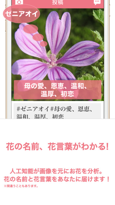 花・植物好きが集まる写真共有・図鑑アプリ, FLOWERY screenshot 2