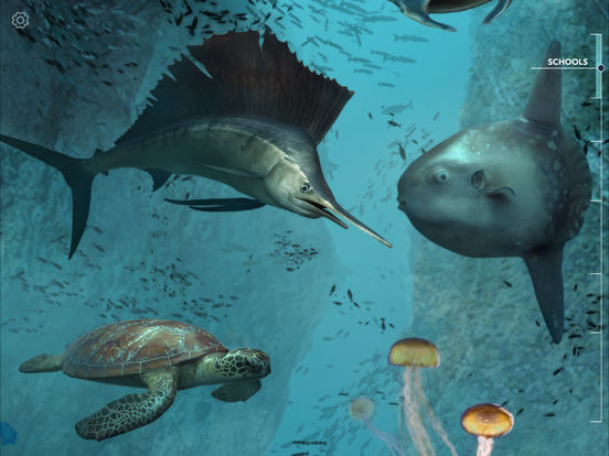 Amazing World OCEAN - Interactive 3D Encyclopedia 앱스토어 스크린샷