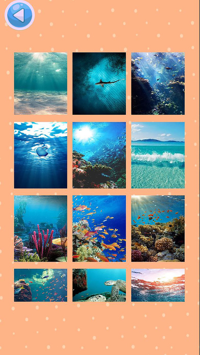 Discovery Under the Sea - Jigsaw Puzzles HD screenshot 2