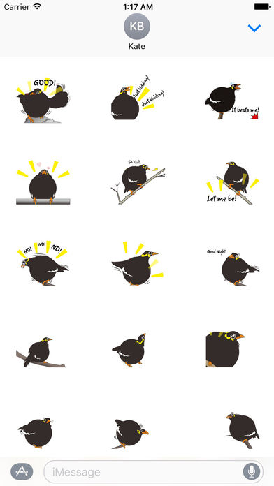 Grackle Bird Sticker screenshot 2