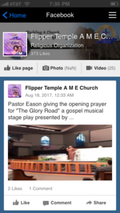 Flipper Temple AME screenshot 3