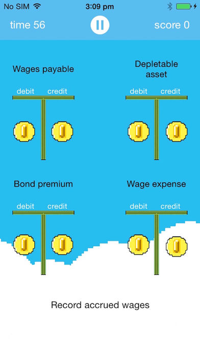 Debits and Credits Premium screenshot 4