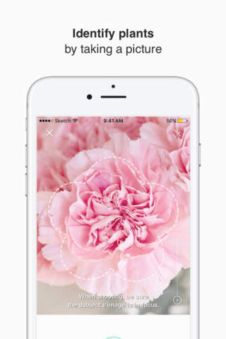 PictureThis - Plant identification Education Learn More