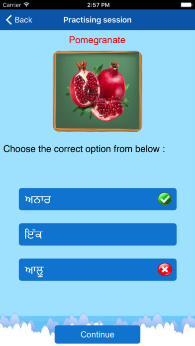 Learn-Punjabi-Language screenshot 3