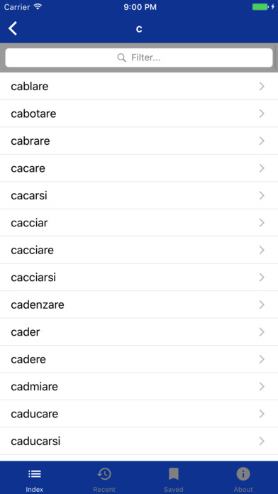 Italian Verbs Dictionary screenshot 2
