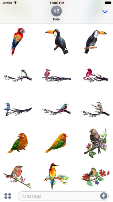 Watercolor Beautiful Birds Sticker Pack screenshot 2