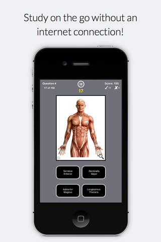 Anatomist – Anatomy Quiz Game screenshot 4