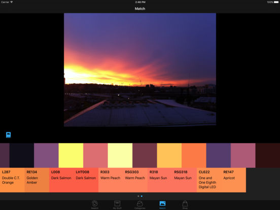 iPad Screenshot 4