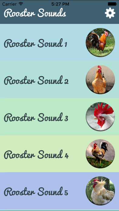 Rooster Sound – Rooster Crowing Sound screenshot 2