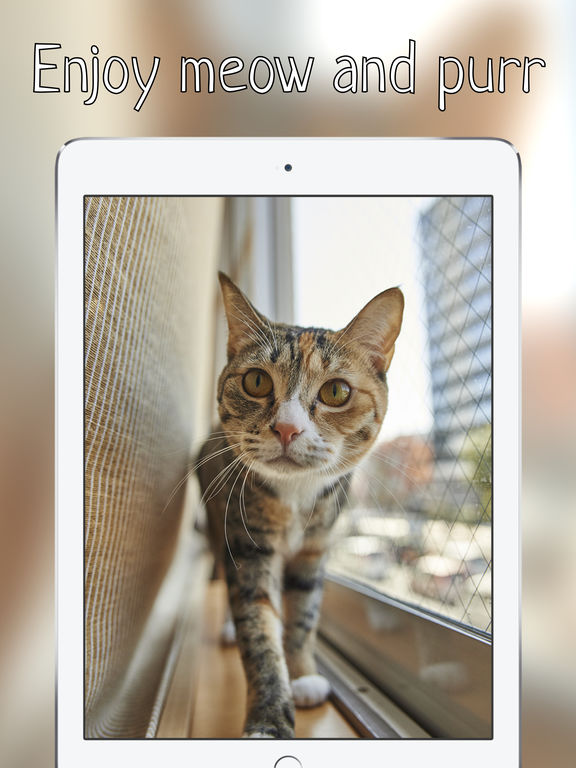 App Shopper: Purr Meow - Сat meow sounds free app (Entertainment)