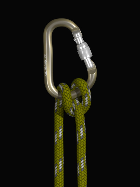 Knots 3D screenshot 7