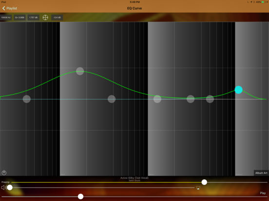 iPad Screenshot 4